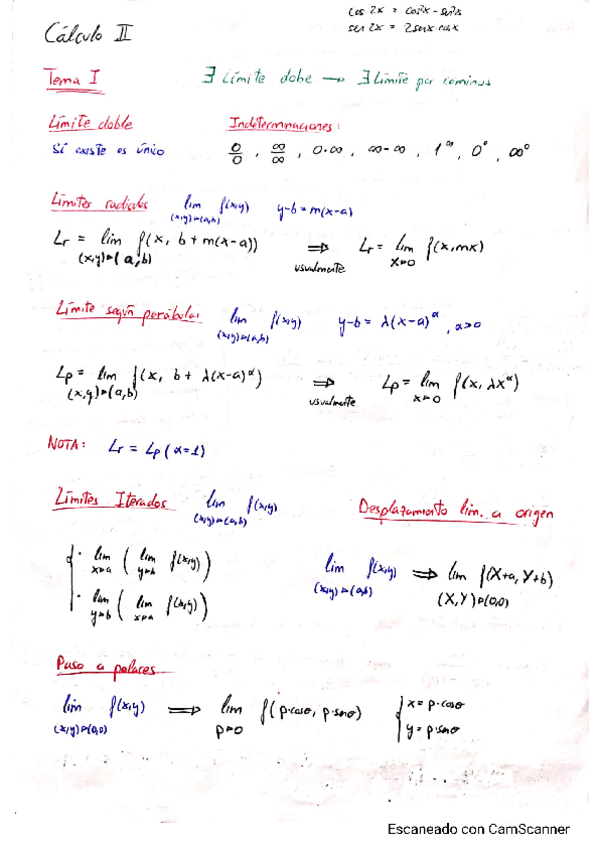 Miniatura del documento ApuntesRUFFO.pdf