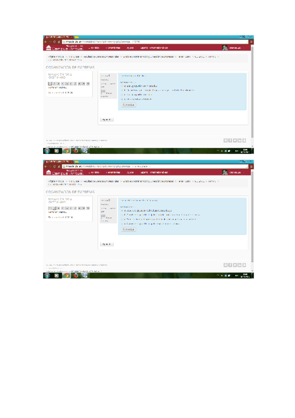 Miniatura del documento cuestionarios tema 4-5.pdf