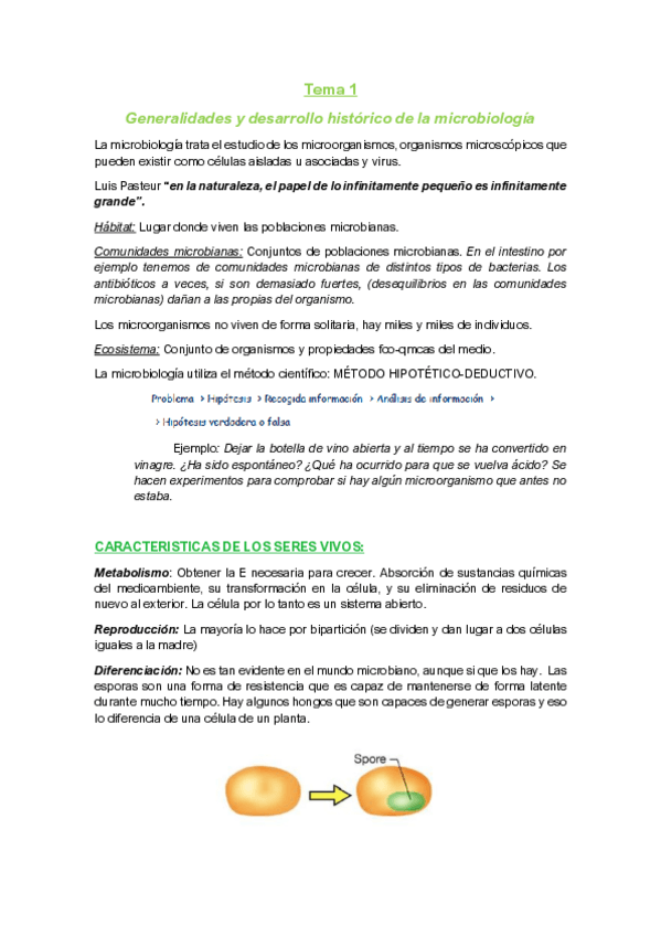 Miniatura del documento TEMA-1-apuntes.pdf