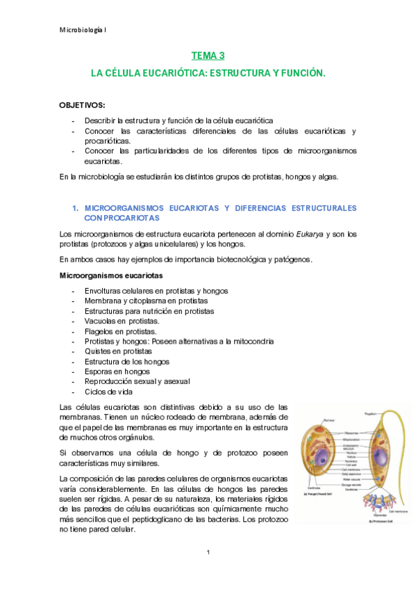 Miniatura del documento TEMA-3-apuntes.pdf