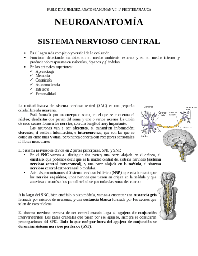 Miniatura del documento 6-Neuroanatomia.pdf