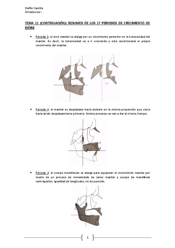 Miniatura del documento TEMA-11-continuacion.pdf
