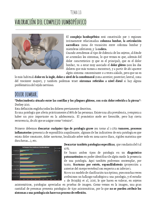 Miniatura del documento VALORACION-IBAI-T10-V.LUMBOPÉLVICApdf