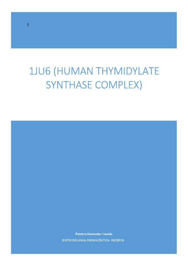 Miniatura del documento 1JU6_Palmira Homedes.pdf