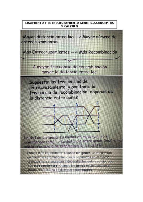 Miniatura del documento Gnetica.docx