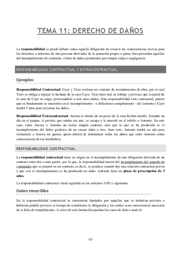 Miniatura del documento Tema-11-DERECHO-DE-DANOS.pdf