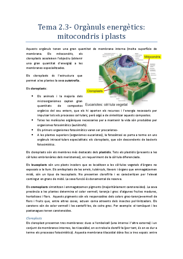 Miniatura del documento FisioV_temes 2.3.pdf