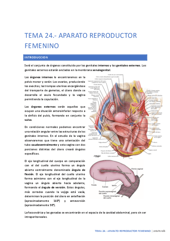 Miniatura del documento TEMA-24.pdf