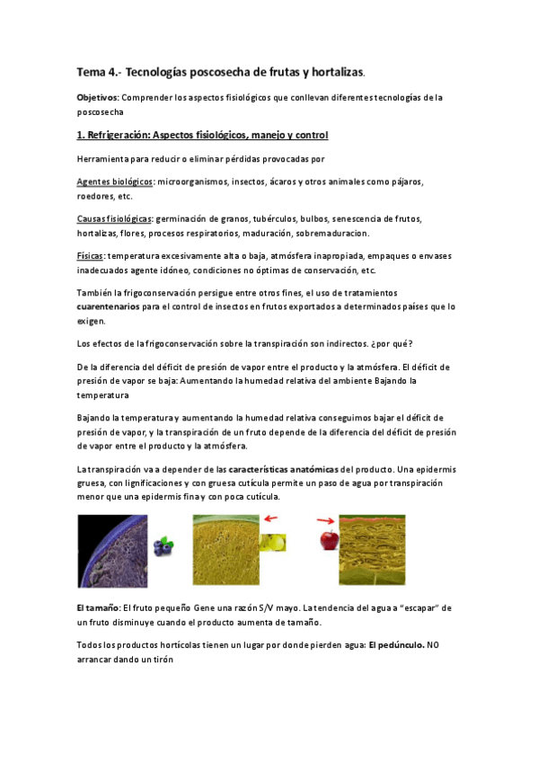 Miniatura del documento Tema-4.pdf