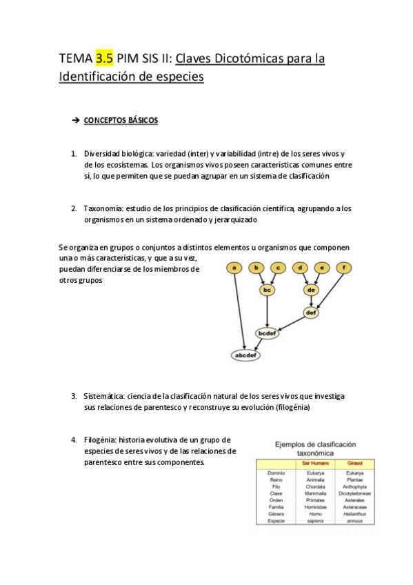 Miniatura del documento TEMA-3.pdf