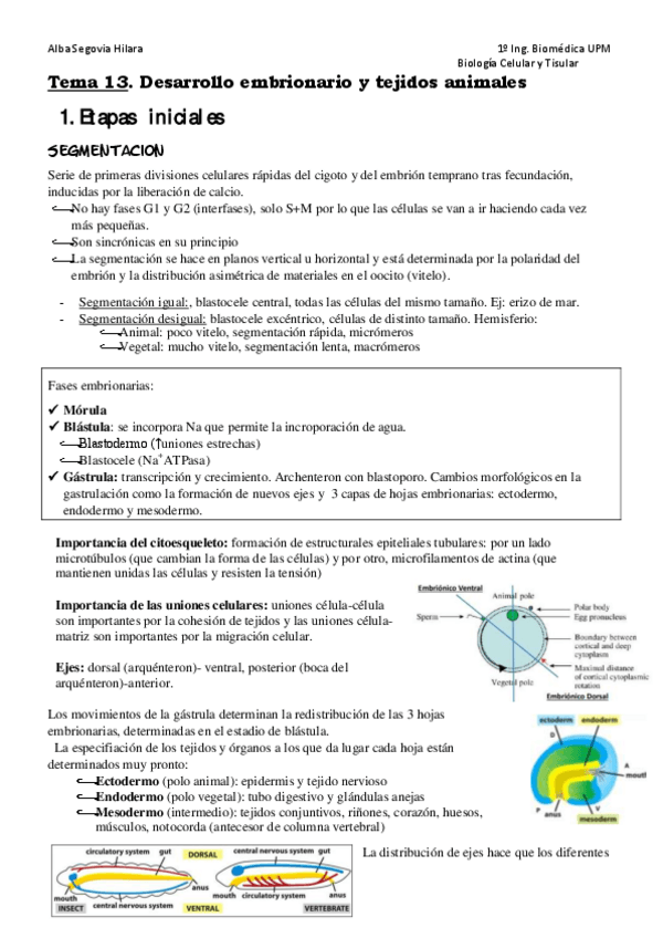Miniatura del documento Tema-13.pdf