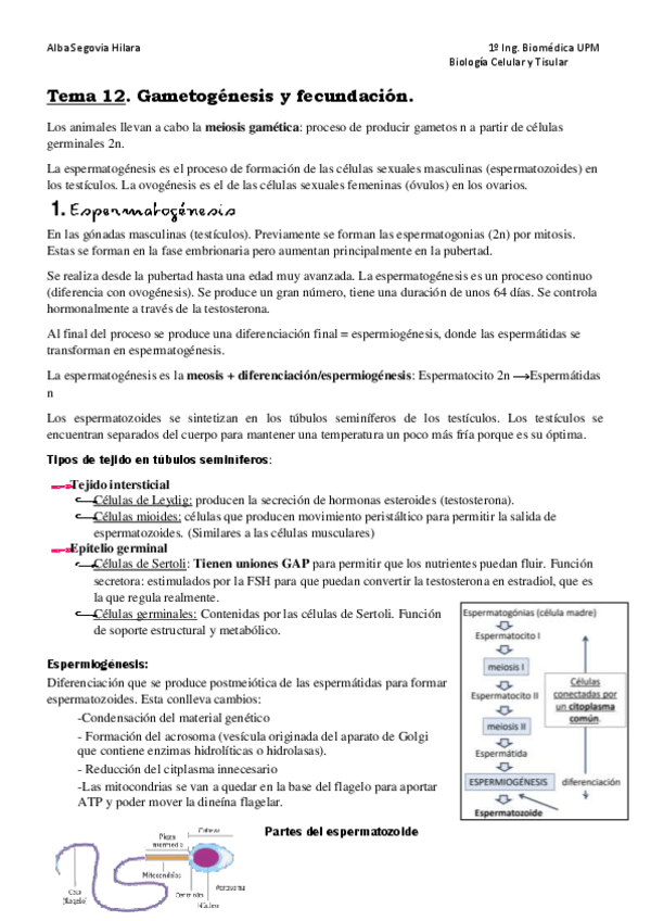Miniatura del documento Tema-12.pdf