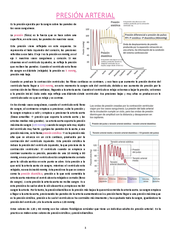 Miniatura del documento Presion-arterial.pdf