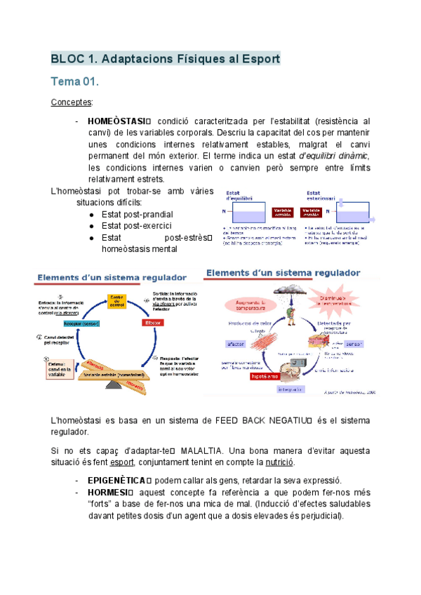 Miniatura del documento FISIO-Bloc-1.pdf