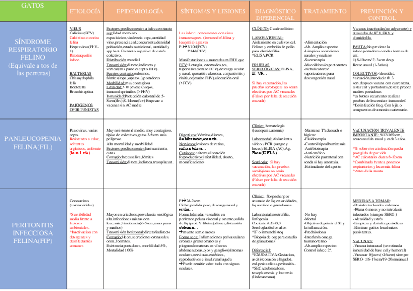Miniatura del documento GATOS.pdf