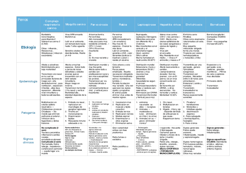 Miniatura del documento Perros-.pdf