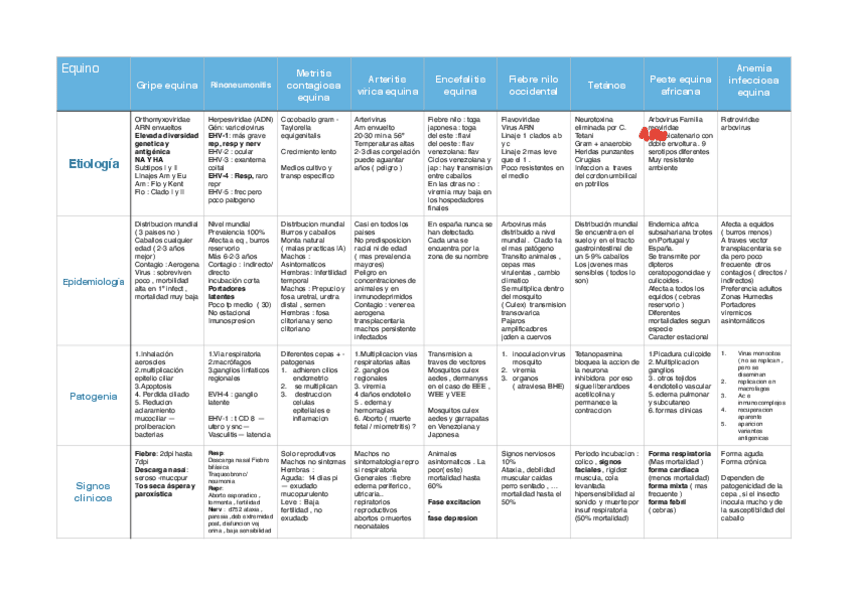 Miniatura del documento caballos.pdf