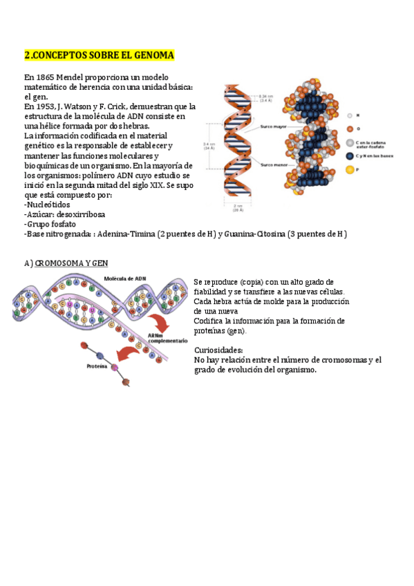 Miniatura del documento Tema 2.Estadística para el Análisis de Secuencias.pdf