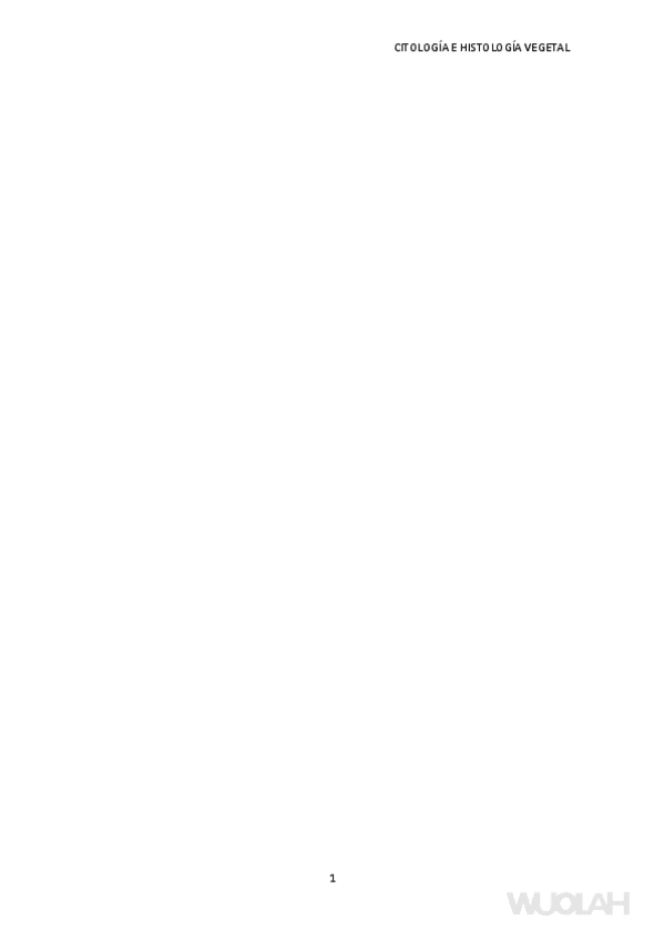 Miniatura del documento examen-cito-1000000000017706.pdf