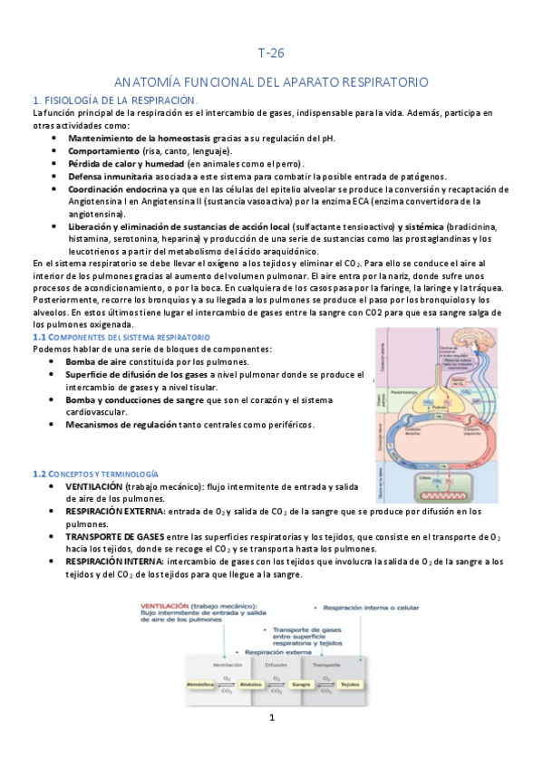 Miniatura del documento T-26.pdf