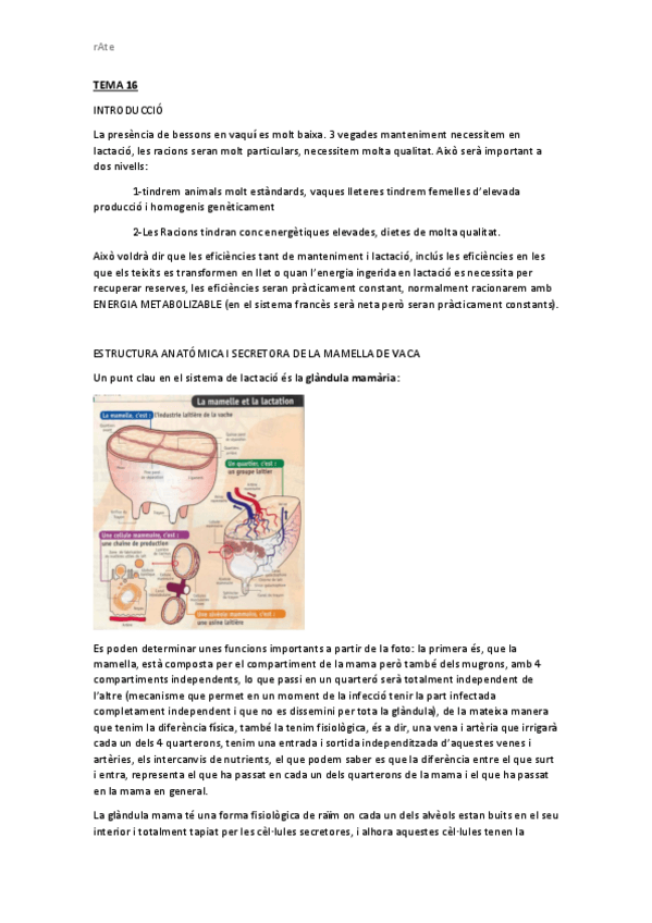 Miniatura del documento TEMA-16-NUTRICIO.pdf