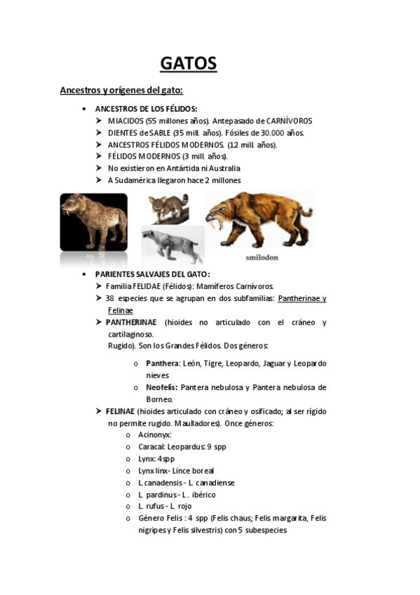 Miniatura del documento GATOS.pdf