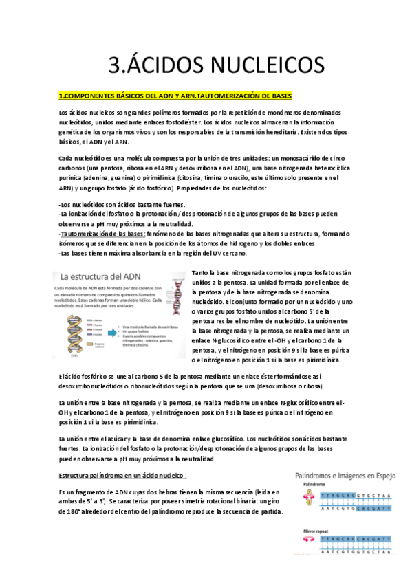 Miniatura del documento ÁCIDOS NUCLEICOS.pdf