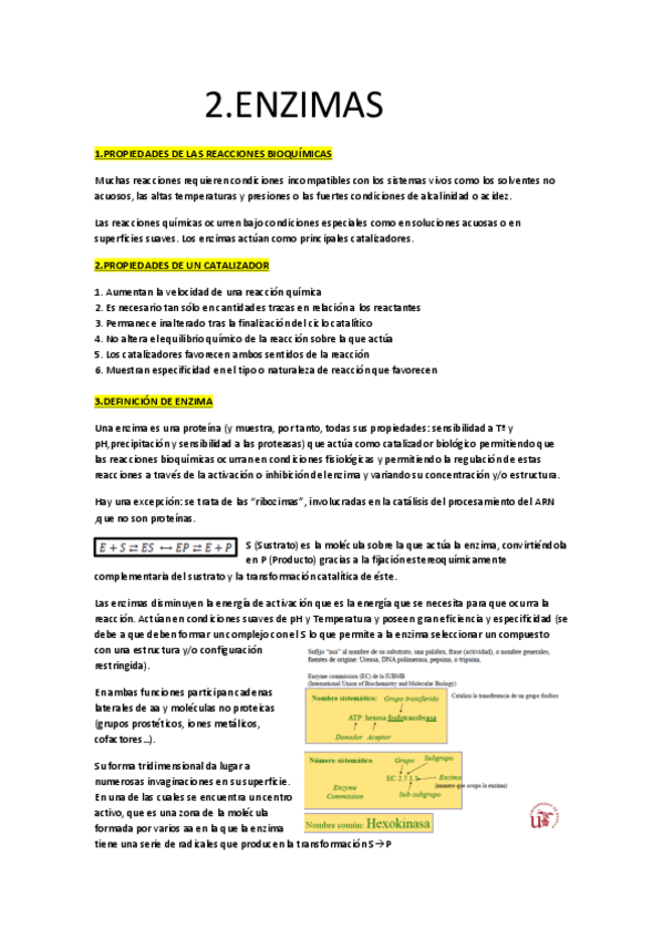 Miniatura del documento ENZIMAS.pdf