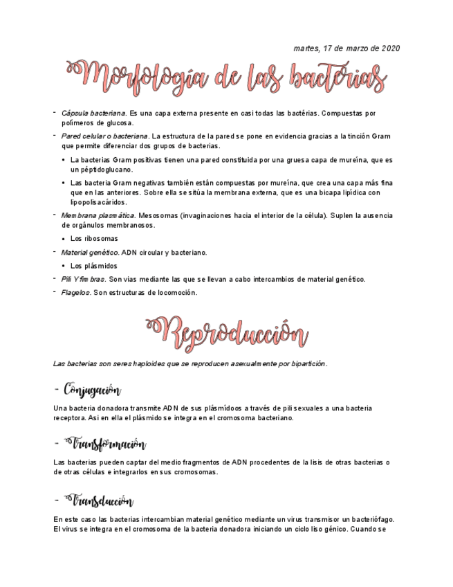 Miniatura del documento Medicina.pdf