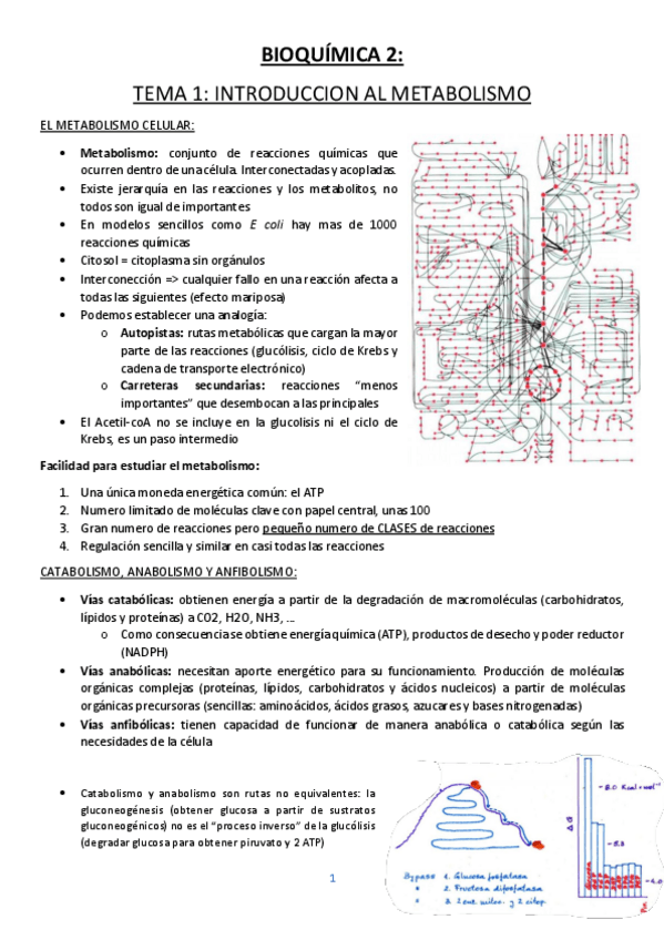 Miniatura del documento BIOQUIMICA-2.pdf