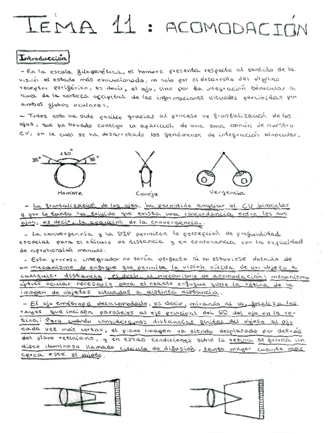 Miniatura del documento Scan 1_1_17 12_21.pdf