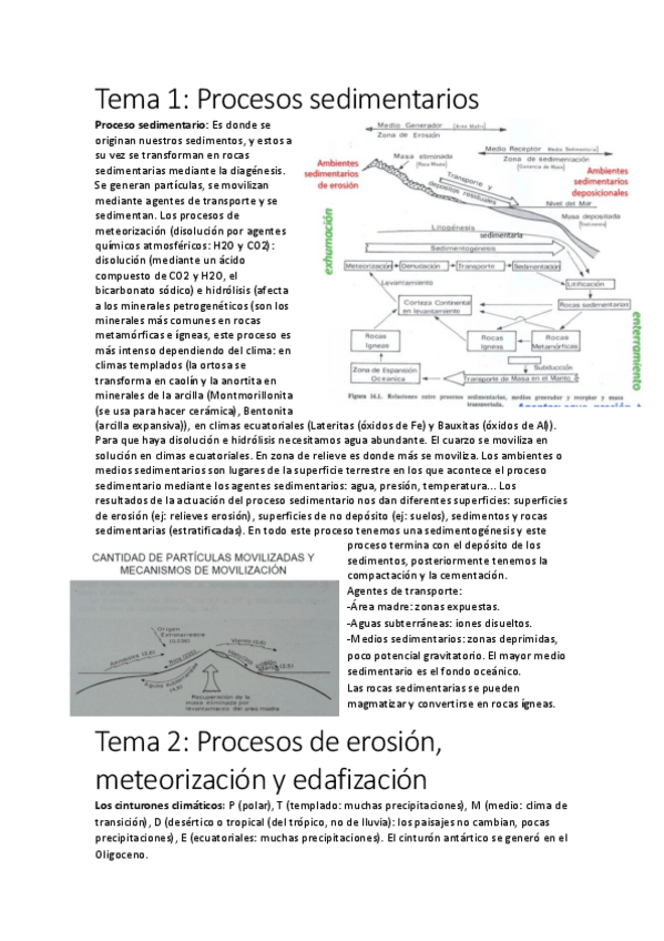Miniatura del documento Temario-Sedimentologia.pdf