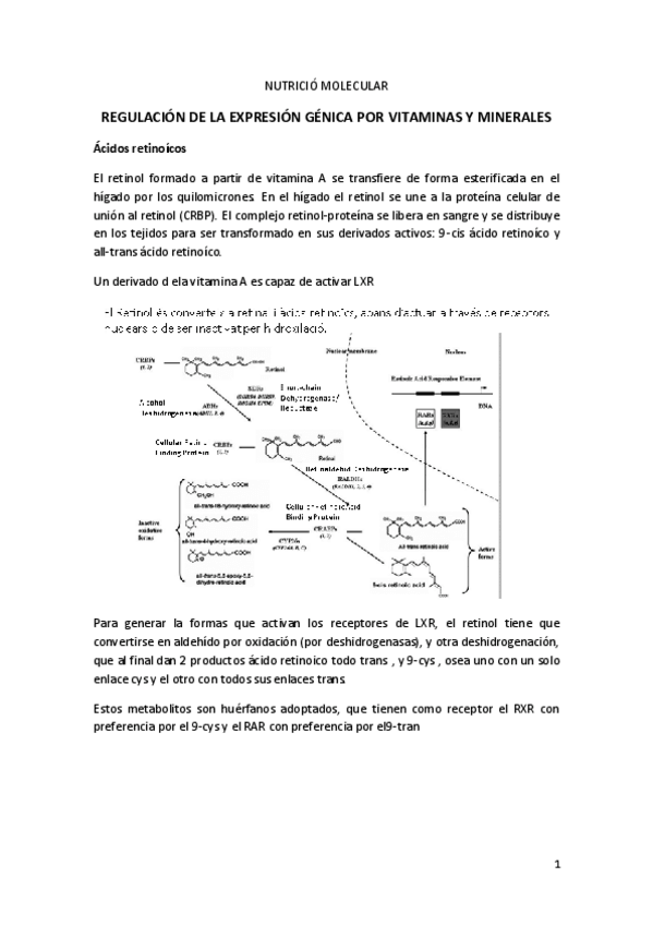 Miniatura del documento TEMA 5.pdf