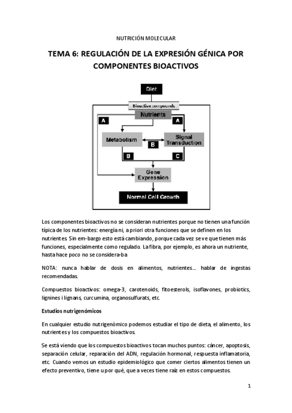 Miniatura del documento TEMA 6.pdf