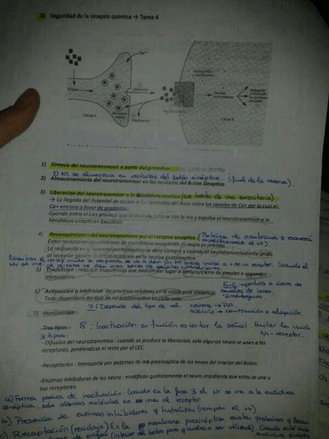 Miniatura del documento EXAM-AYF-I.jpg