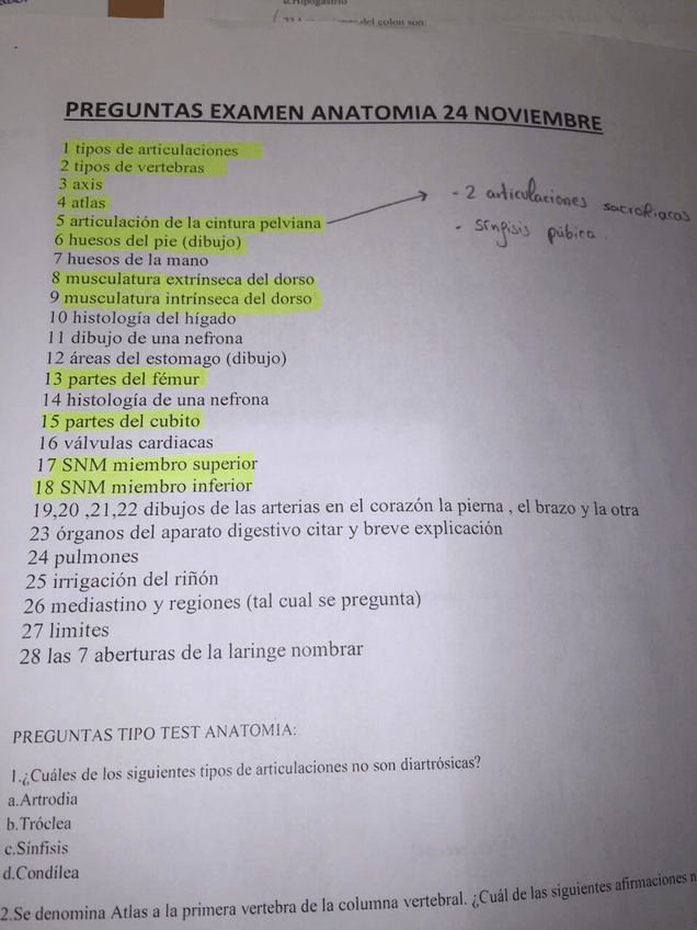 Miniatura del documento IMG8438.jpg