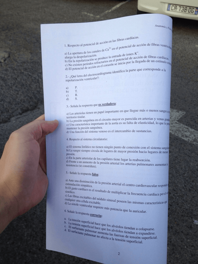 Miniatura del documento IMG8441.jpg