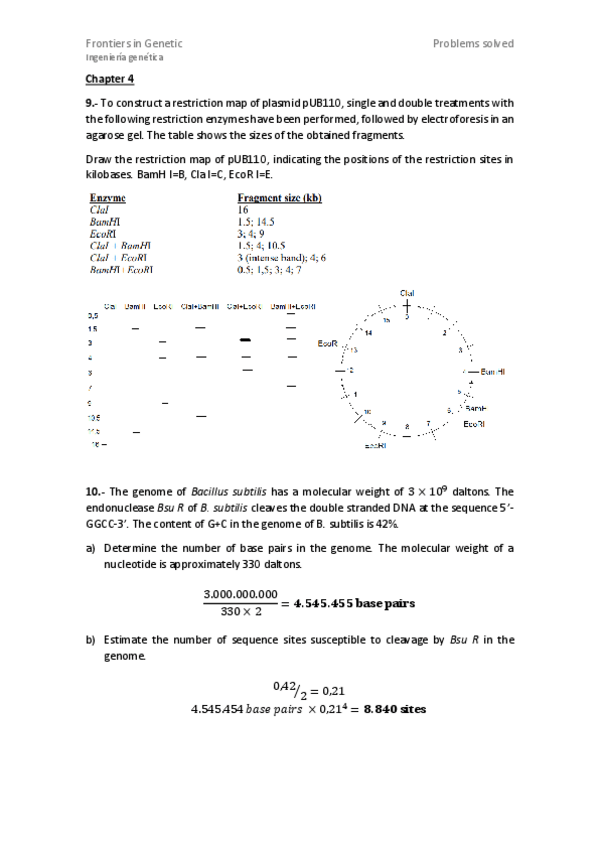 Miniatura del documento Chapter-4.pdf