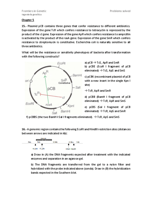 Miniatura del documento Chapters-5-6.pdf