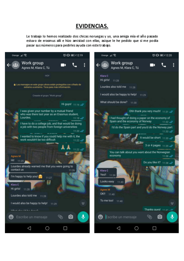 Miniatura del documento EVIDENCIAS.pdf