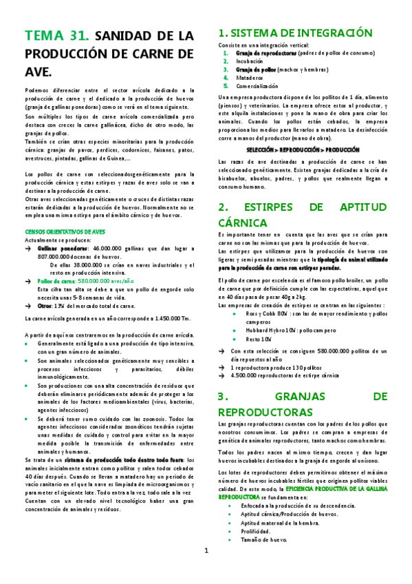 Miniatura del documento TEMA-31.pdf