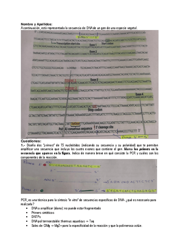 Miniatura del documento Tarea-practicas-en-aula-1a-parte.pdf