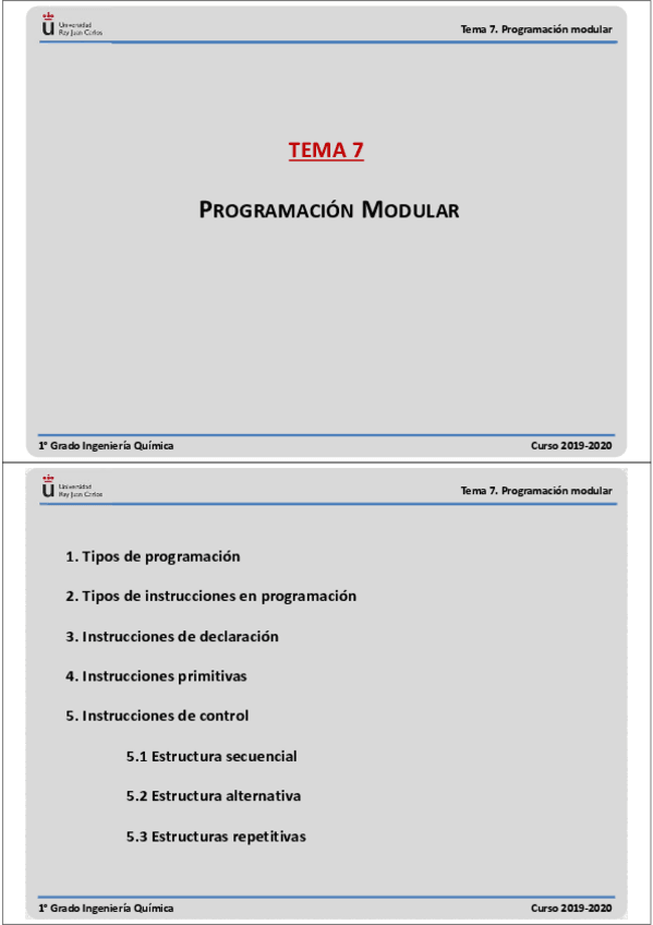 Miniatura del documento Tema-7-Programacion-modular-Curso-2019-2020.pdf