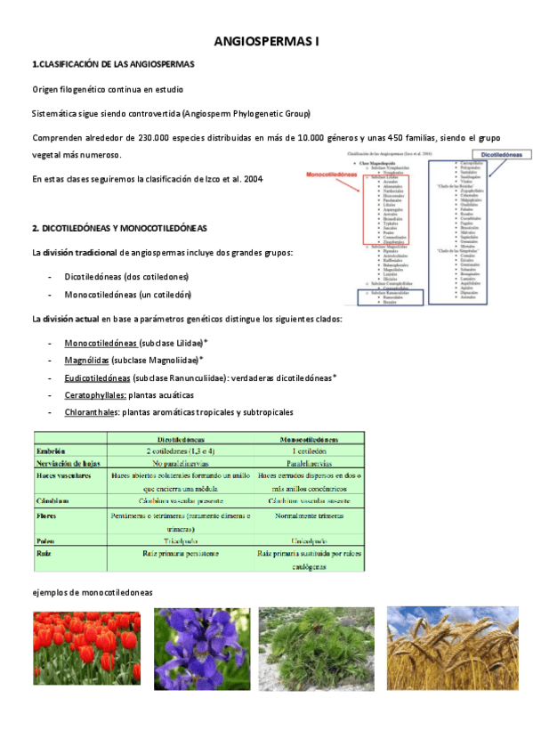 Miniatura del documento tema-16.pdf