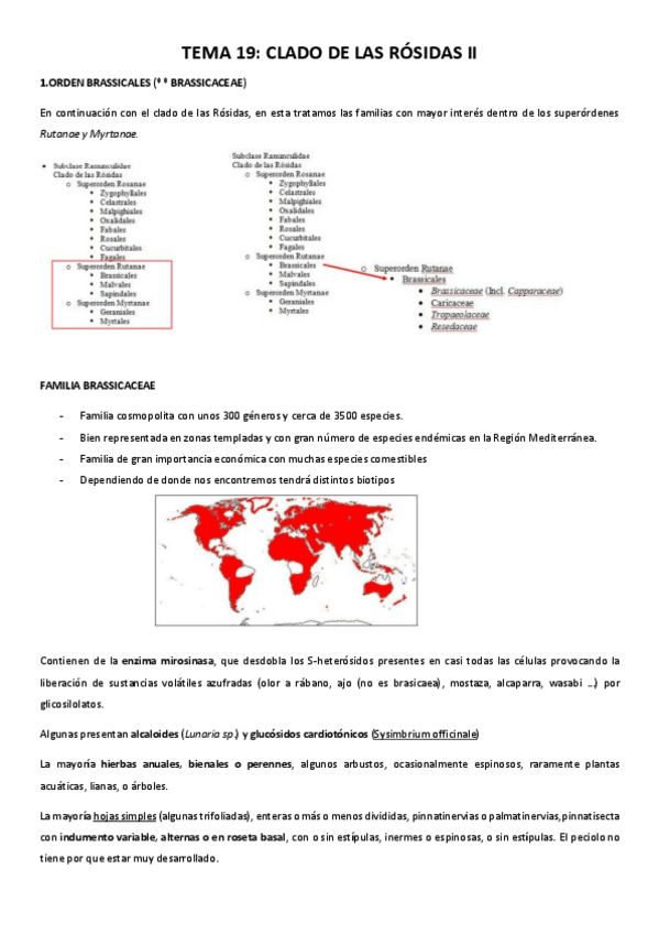 Miniatura del documento TEMA-19.pdf