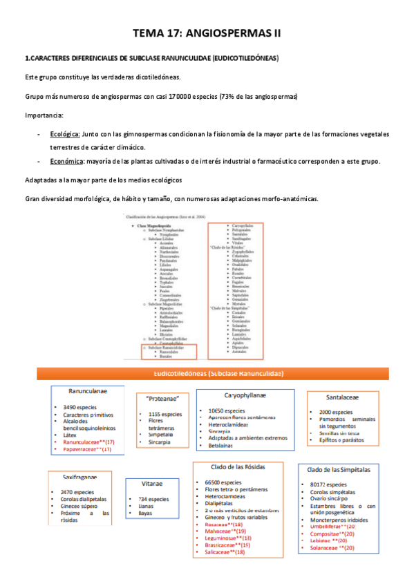 Miniatura del documento TEMA-17.pdf