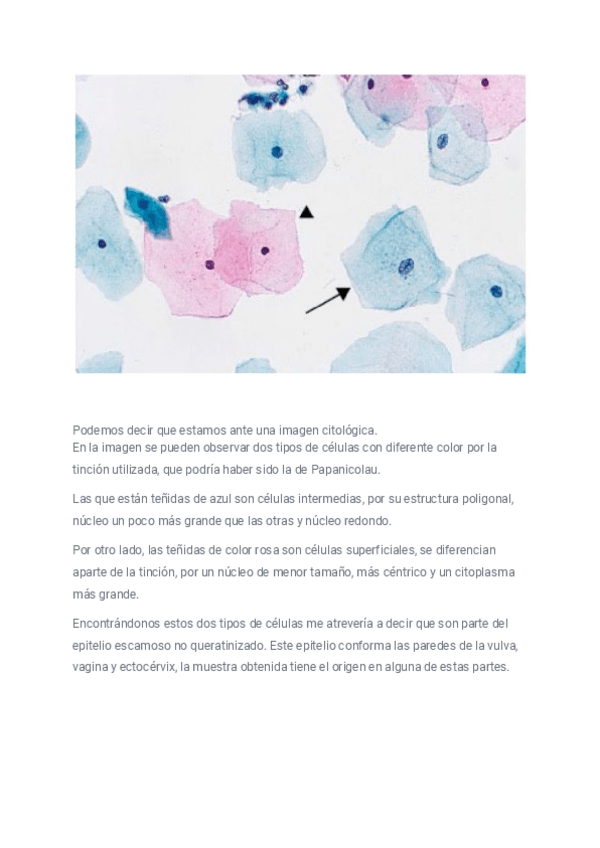 Miniatura del documento descripcion-1.pdf