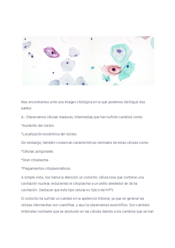 Miniatura del documento descripcion-2.pdf