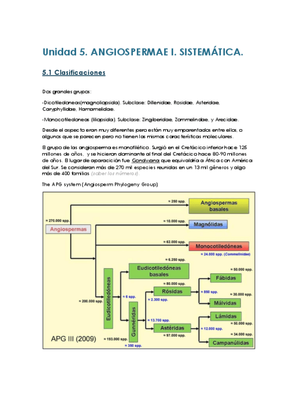 Miniatura del documento TEMA-5-ANGIOSPERMAE-I.pdf