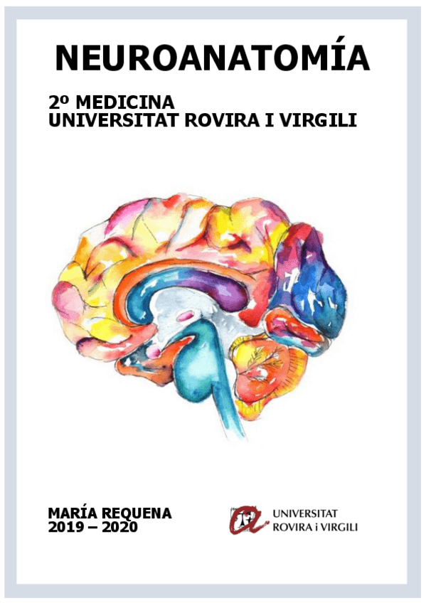 Miniatura del documento APUNTES-MARIA-NEURO.pdf